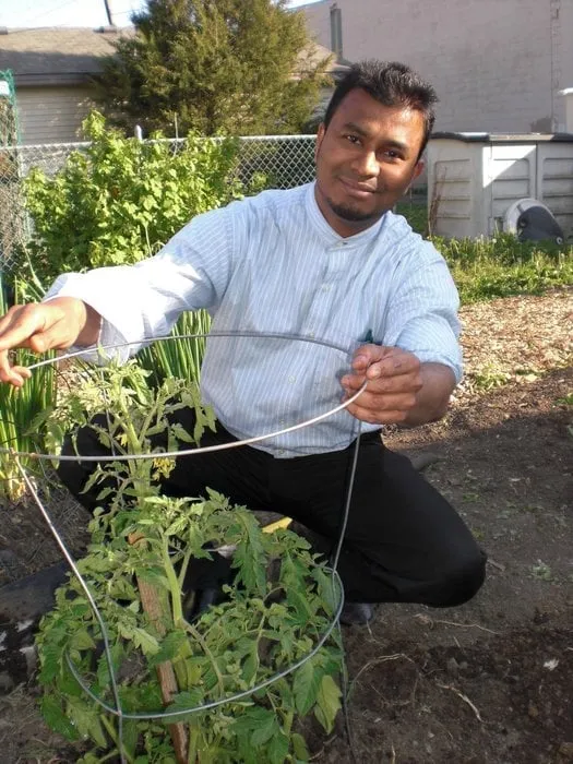 Licensed panel upgrade in , by Working Hands Construction