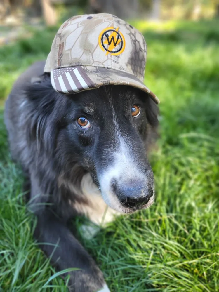 Professional electrical service for homes in circuit breaker repair,  by 