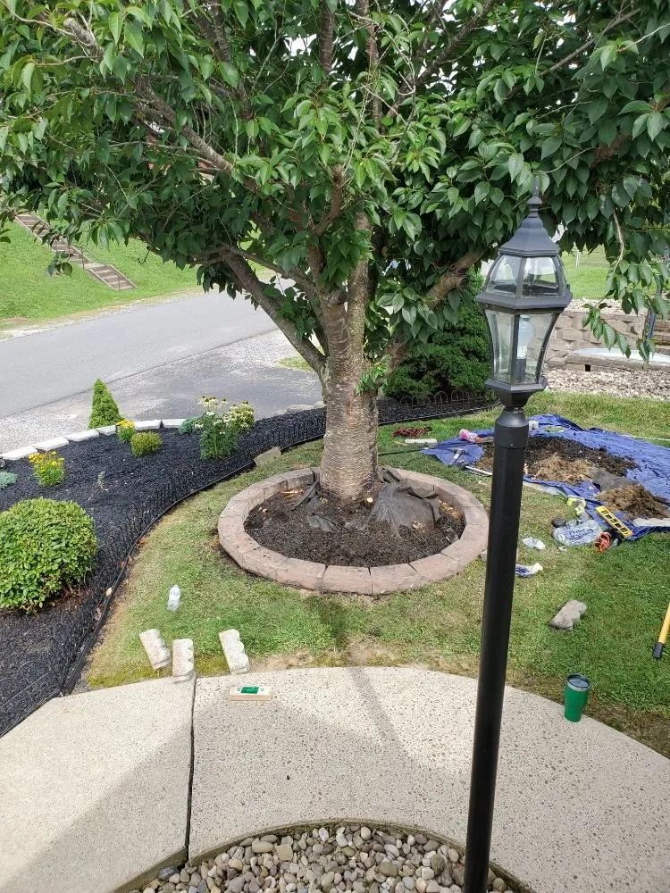 Licensed electrical service for homes in emergency electrical service,  by 