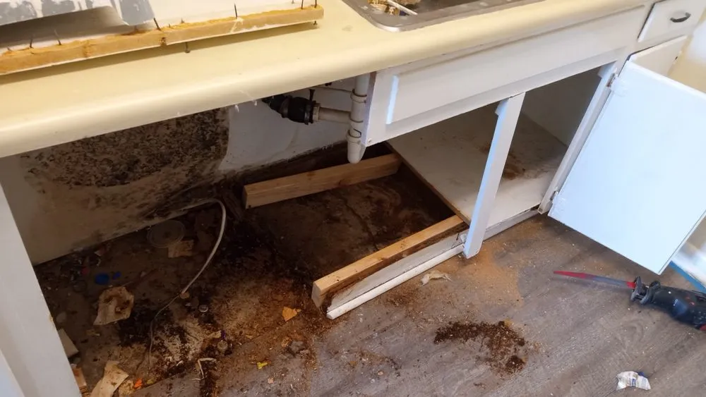 Slide of WP Renovation