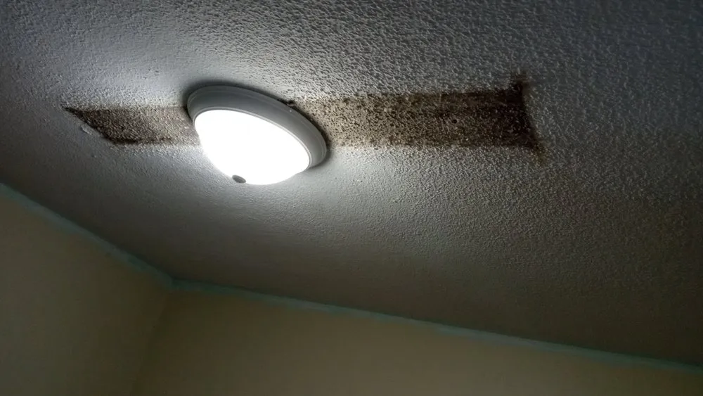 Slide of WP Renovation