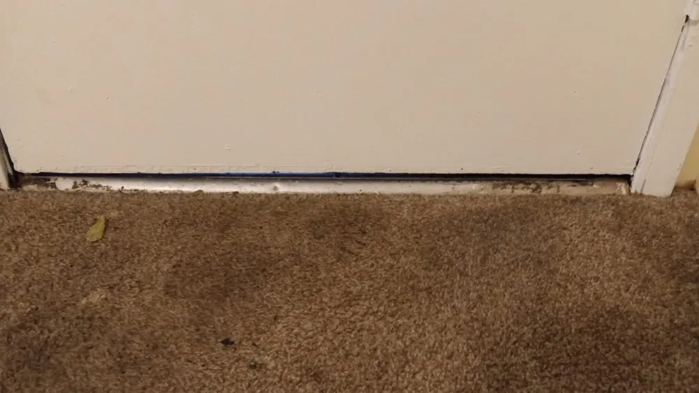 Slide of WP Renovation