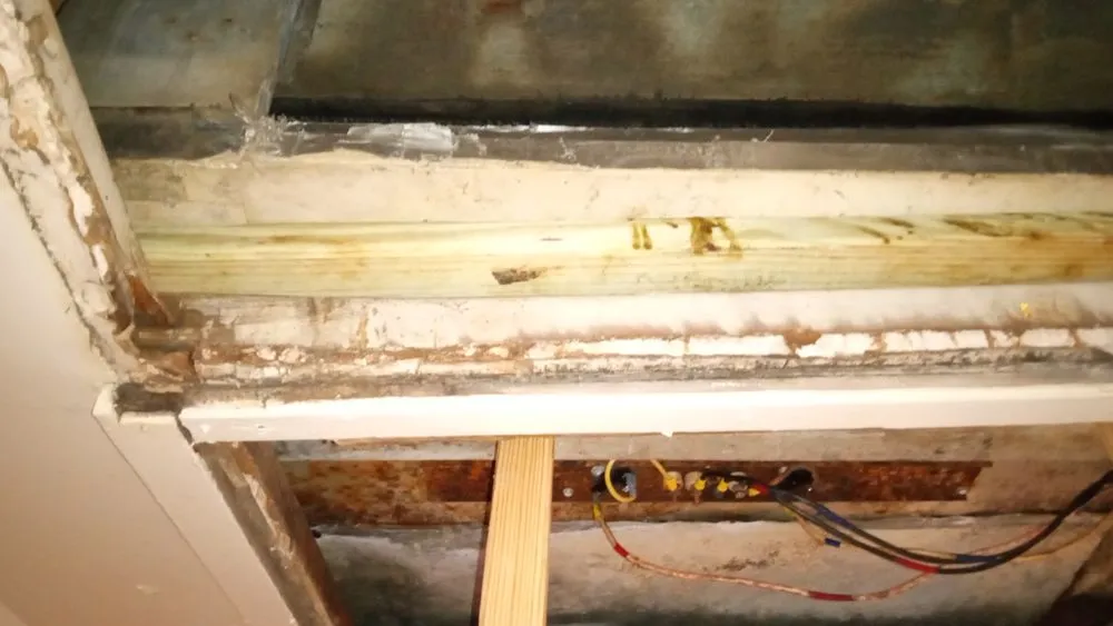 Slide of WP Renovation