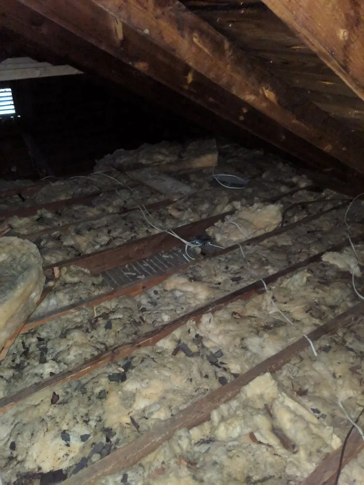 Slide of Wright Brothers Electric Company