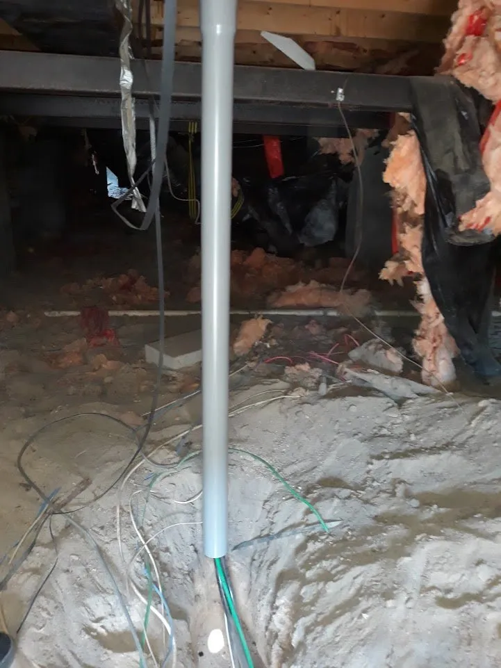 Slide of Wright's Electric