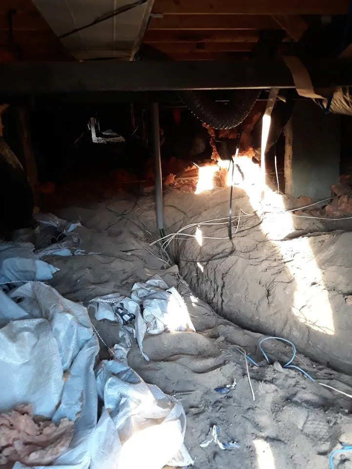 Slide of Wright's Electric