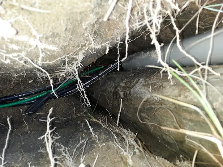 Slide of Wright's Electric