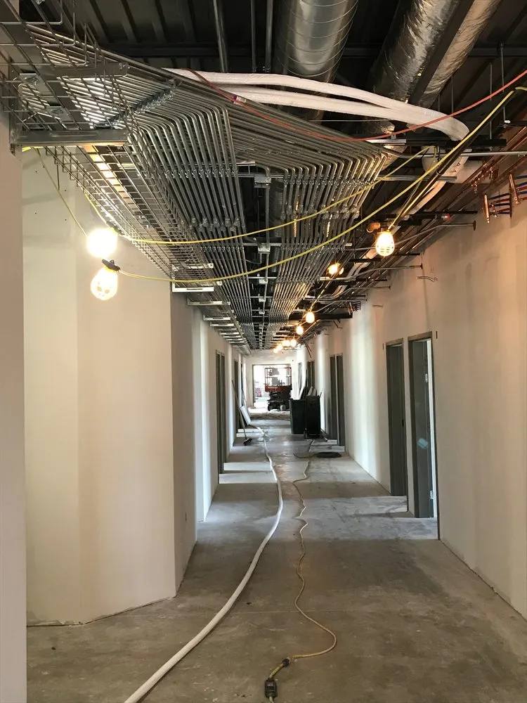 Expert outlet and switch repair in Delhi, IA by Wulfekuhle Electric