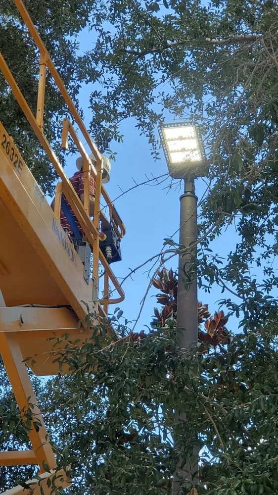 Slide of Xenon Electrical Contractor