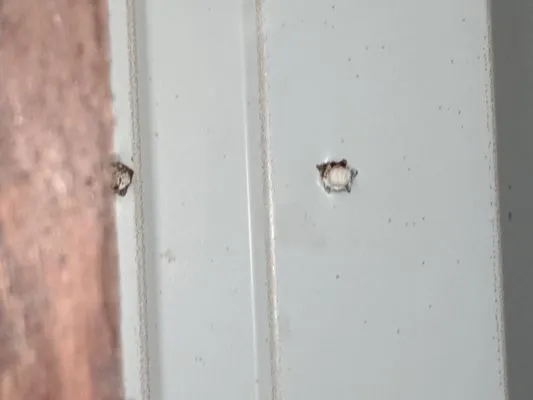 Yamamoto Electrical Services