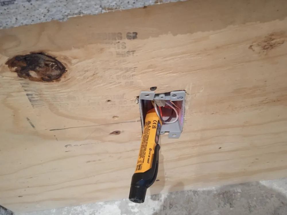 Slide of Yasmany Smith