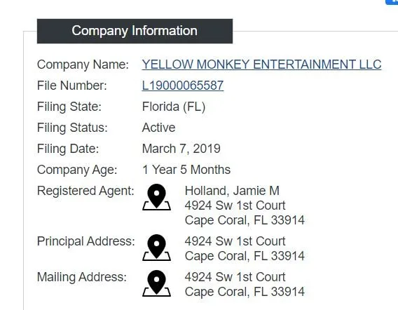 Slide of Yellow Monkey Entertainment & Power