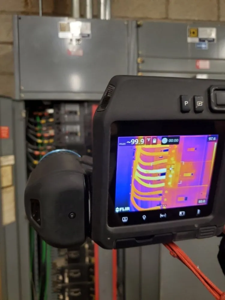 Slide of Yellowtail Electric