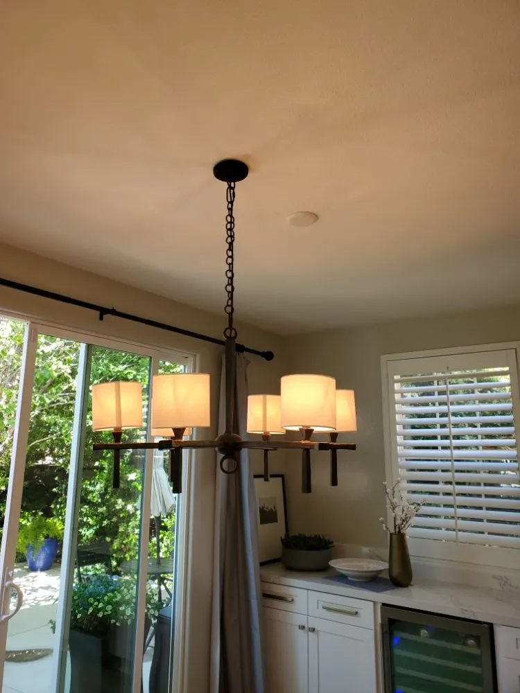 Slide of Yellowtail Electric