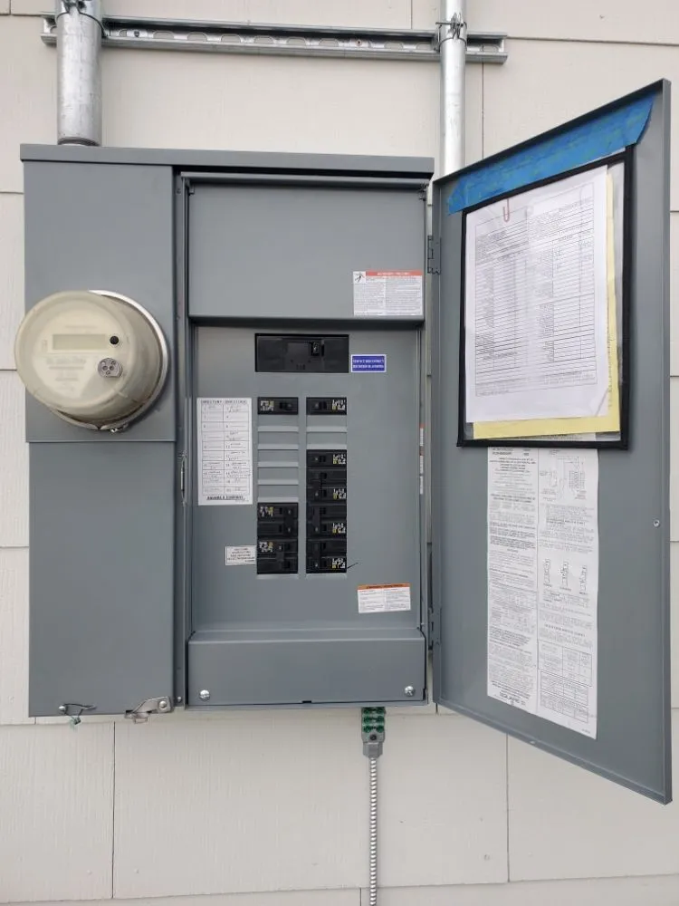 Slide of Yellowtail Electric