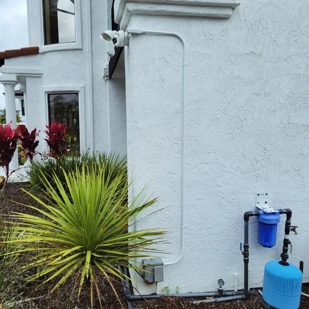 Slide of Yellowtail Electric