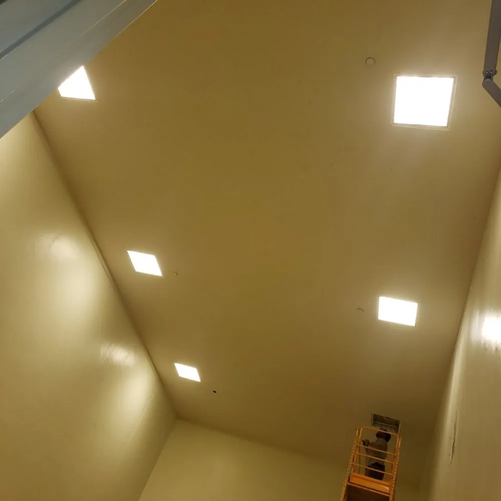 Slide of Yellowtail Electric