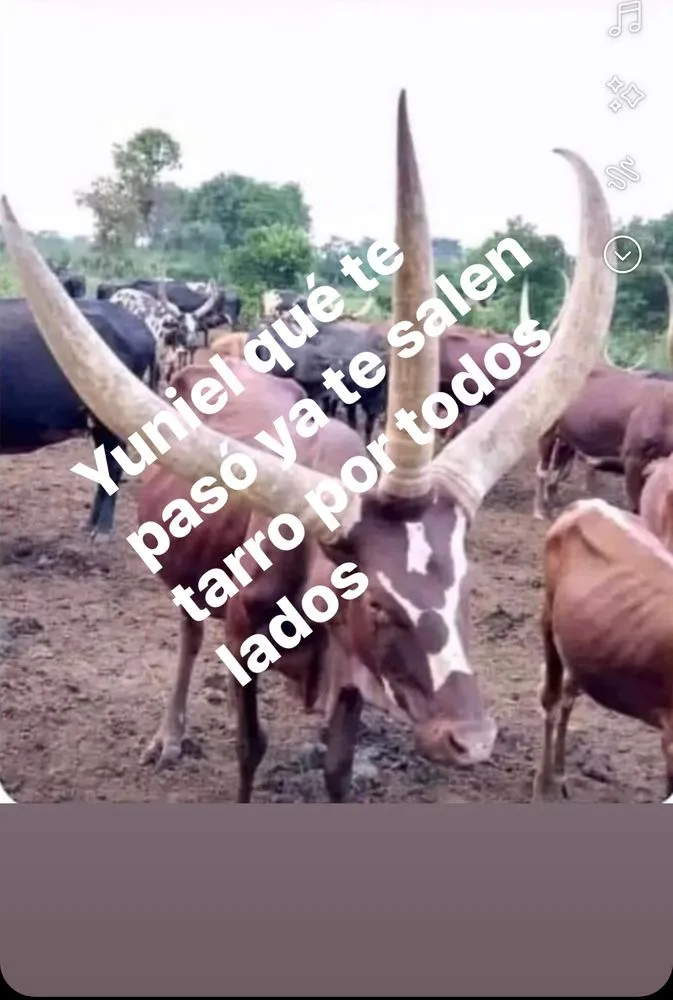 Slide of Y&G Volt Power