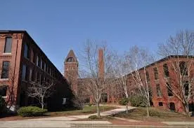 Young & Son Electric