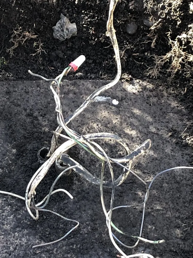 Slide of Young Electric