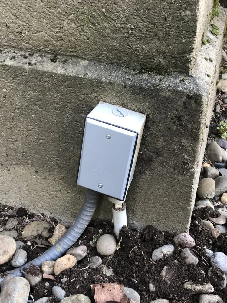 Slide of Young Electric