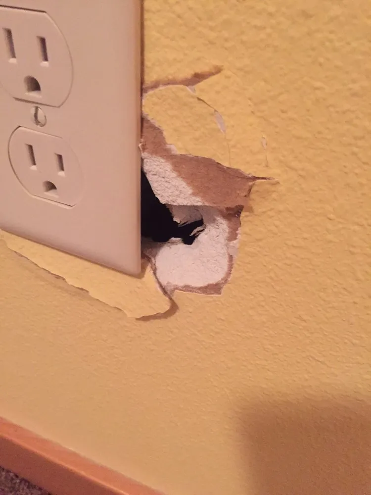 Slide of Young Electric