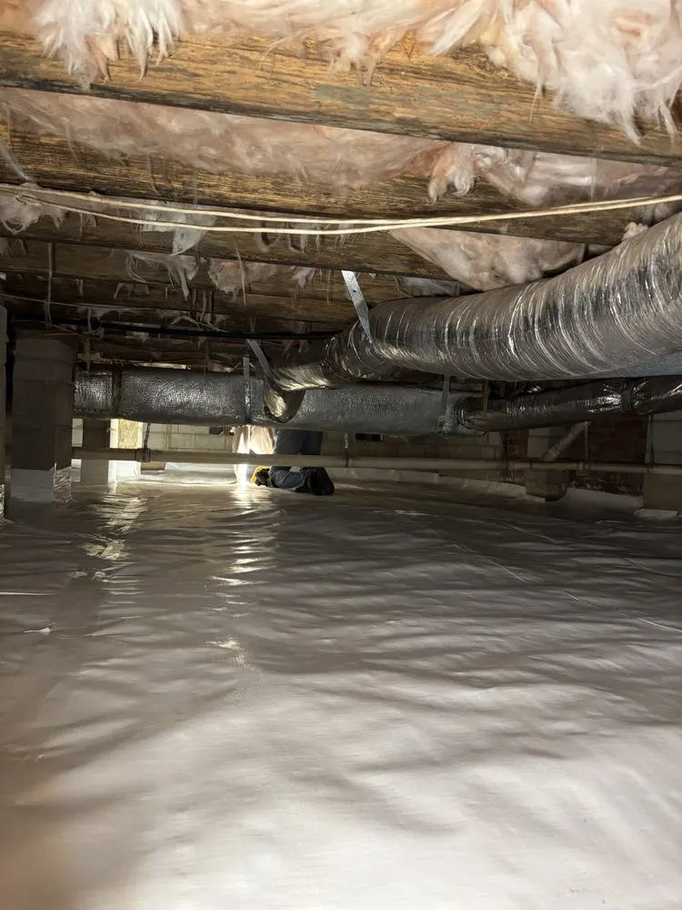 Slide of Your Crawl Space Guy