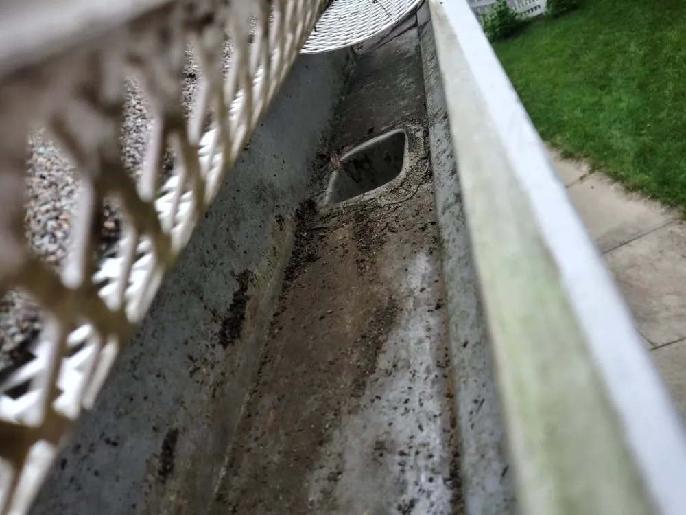 Slide of Your Neighborhood Handy Ladies