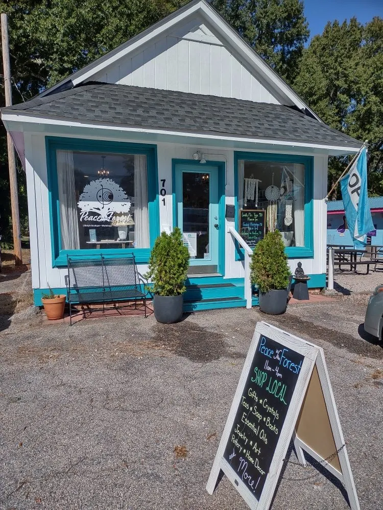 Slide of Your Neighborhood Handy Ladies