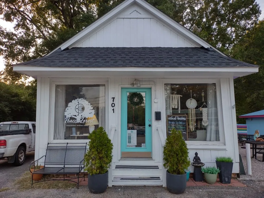 Slide of Your Neighborhood Handy Ladies