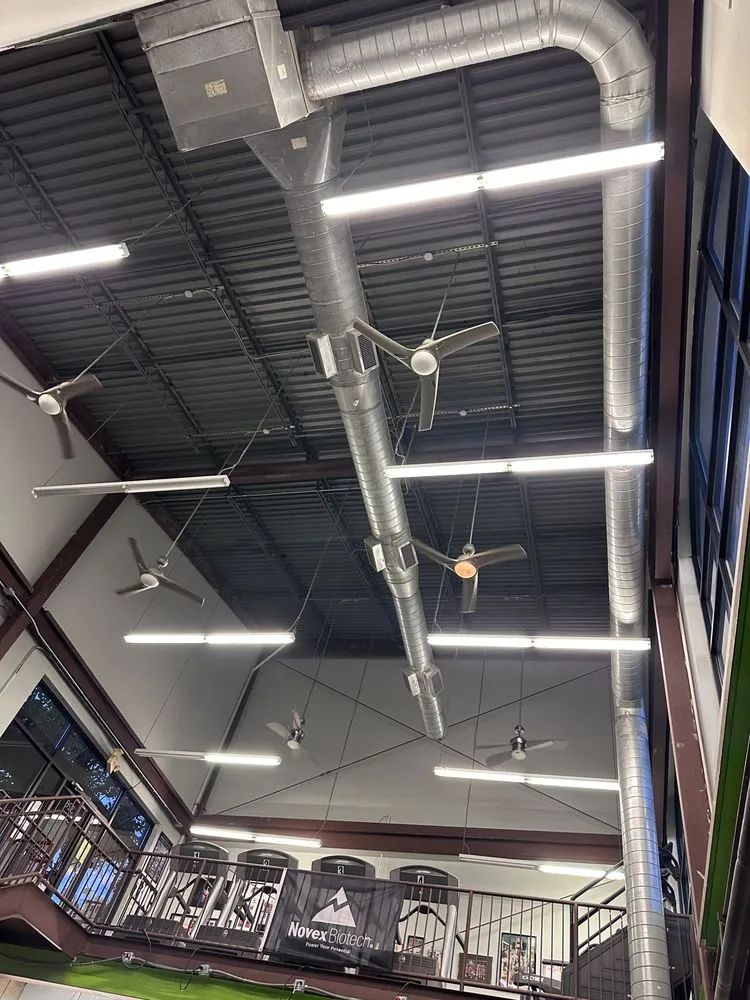 Slide of YSW Lighting & Electrical Services