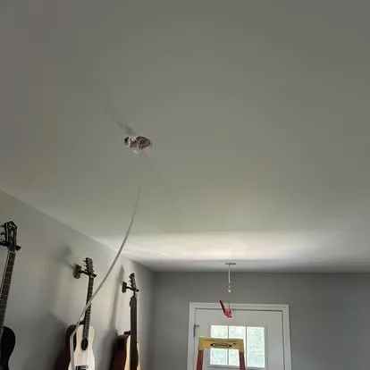 Slide of Zachary Beaty Electric