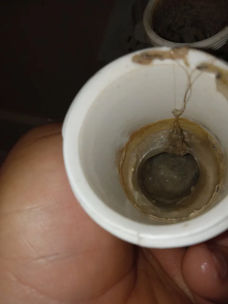 Slide of Zanzen's Handyman