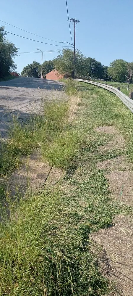 Slide of Zanzen's Handyman