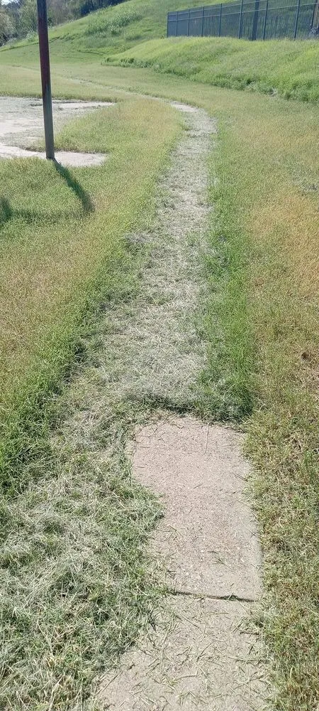 Slide of Zanzen's Handyman