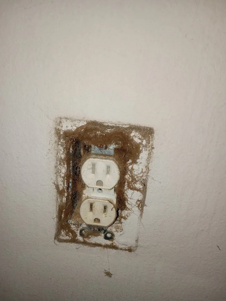 Slide of Zanzen's Handyman