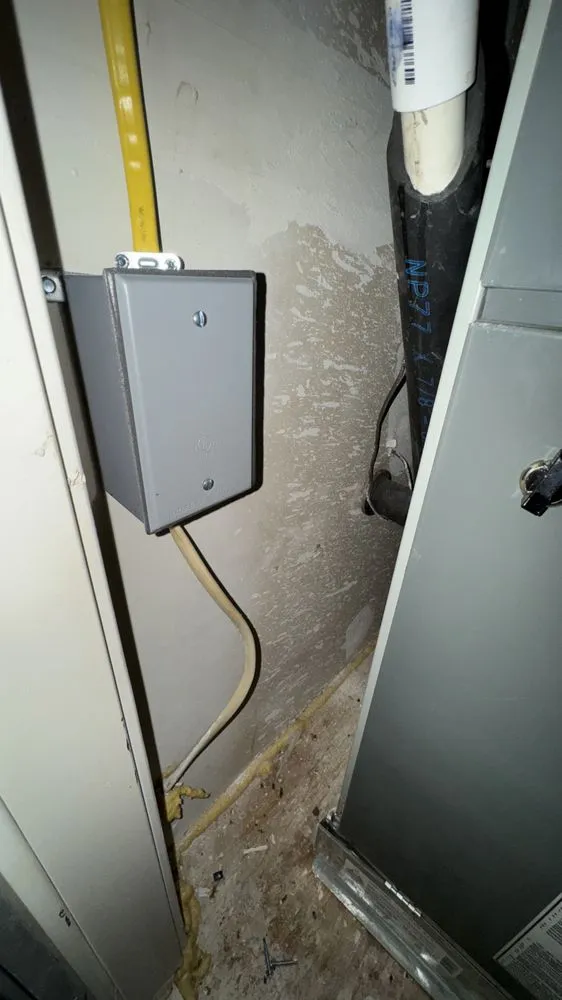 Slide of Zebra Electric