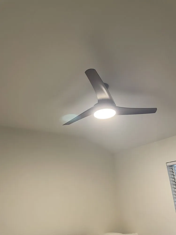 Slide of Zebra Electric