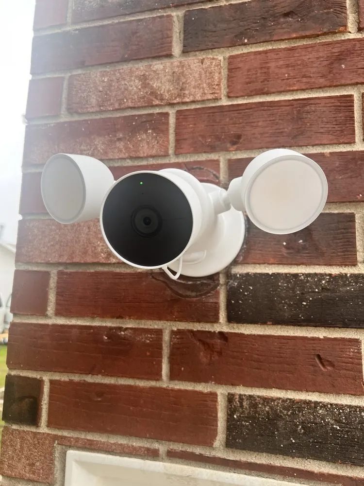 Slide of Zebra Electric