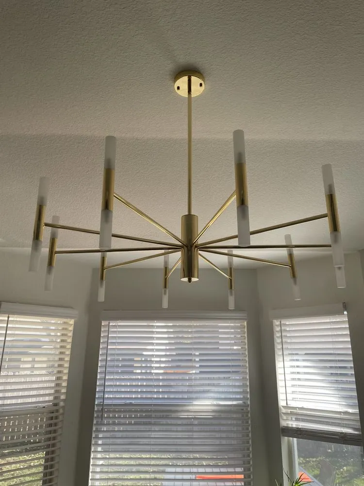 Slide of Zebra Electric