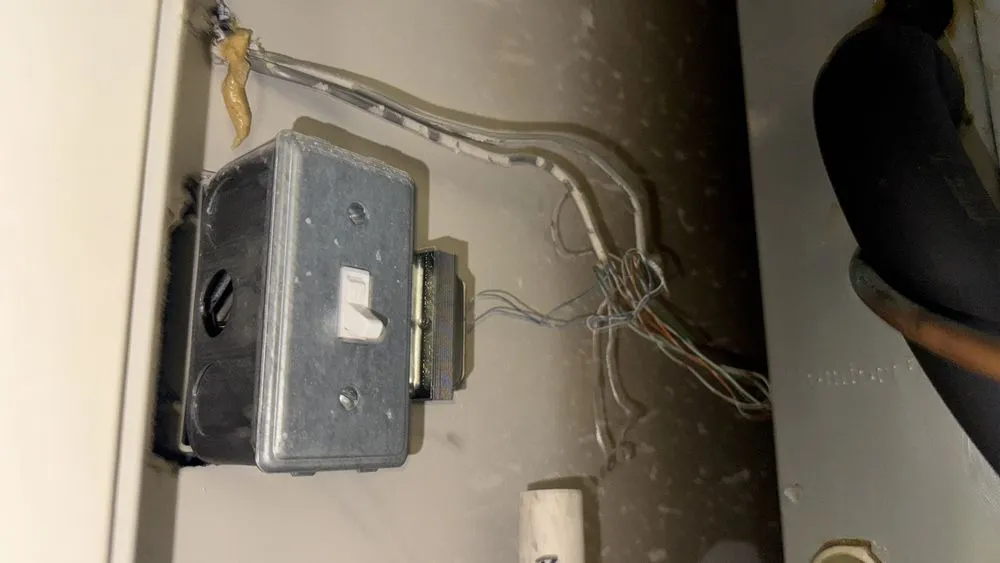 Slide of Zebra Electric