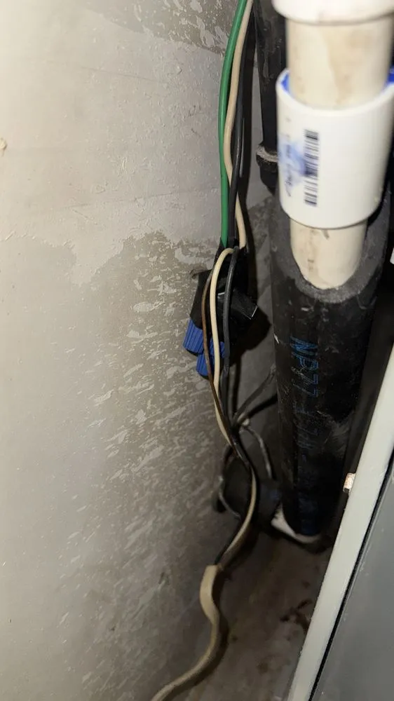 Slide of Zebra Electric