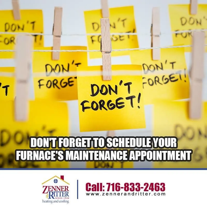 Slide of Zenner & Ritter