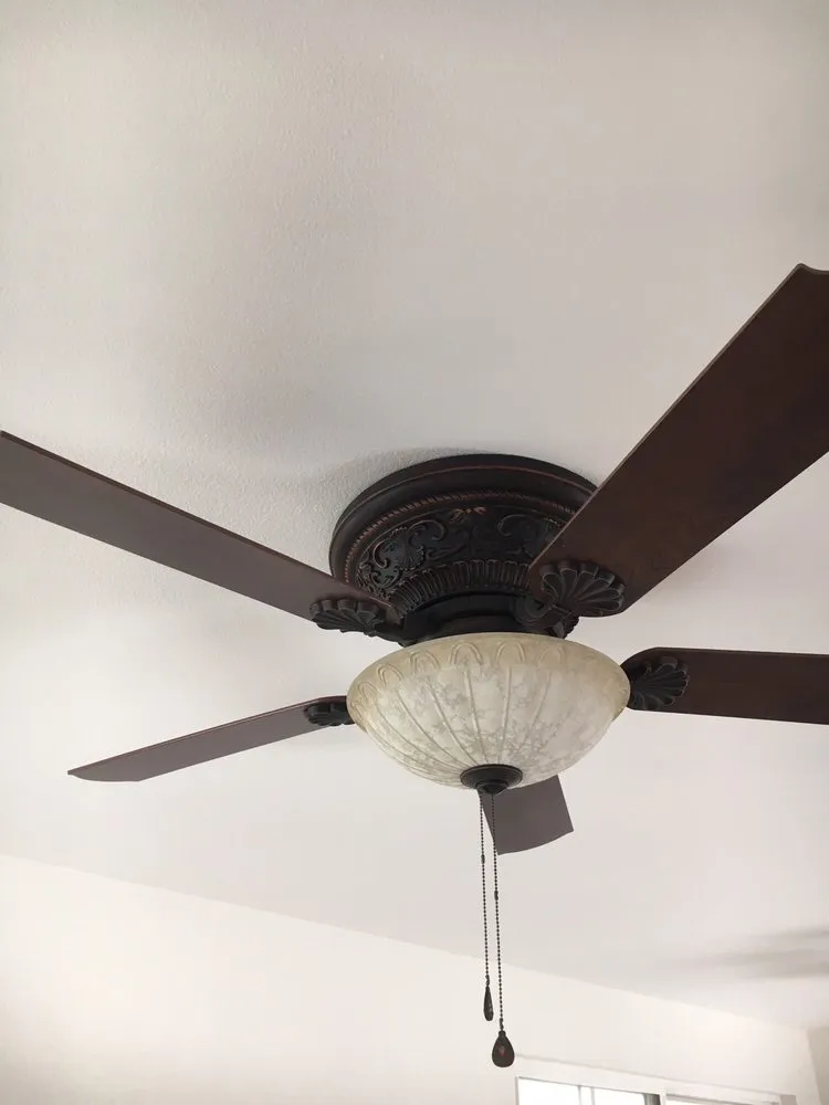 Slide of Zest Electric