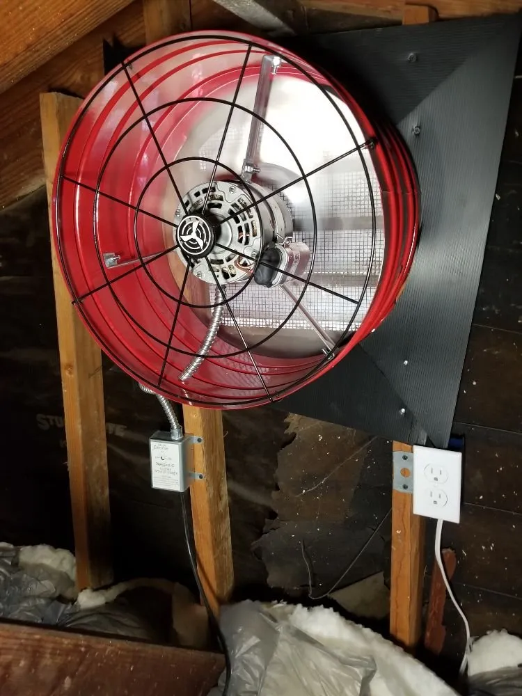 Slide of Zest Electric