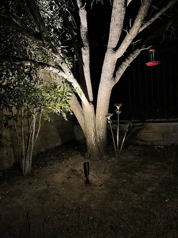 Slide of Zest Electric