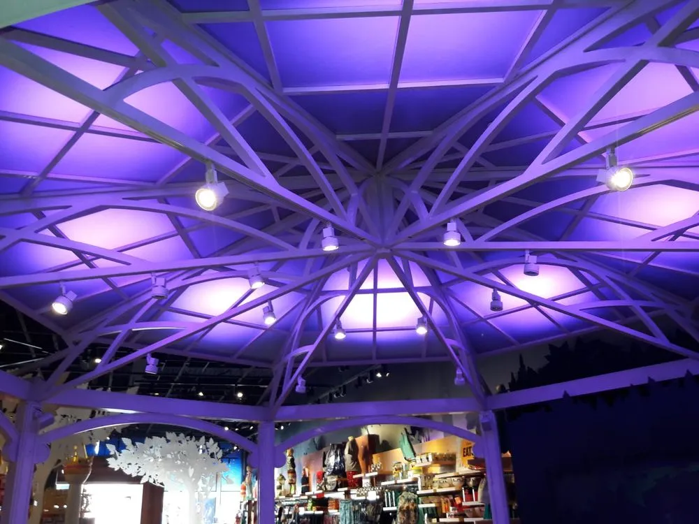 Slide of Zeus Electric