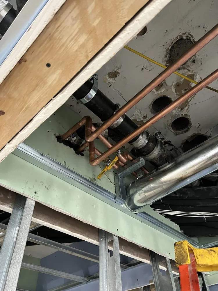 Slide of ZHYR Development