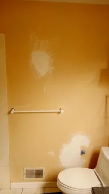 Zihuas Handyman Services Logo