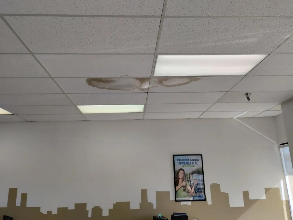 Slide of ZIHUA'S HANDYMAN SERVICES